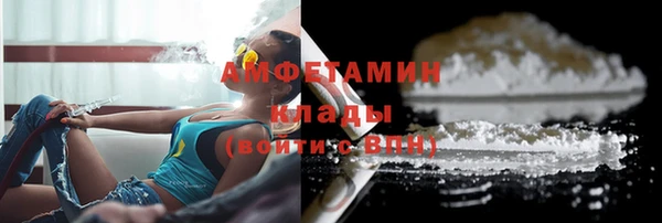 амф Козельск