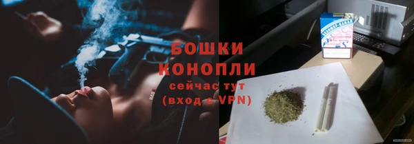 амф Козельск