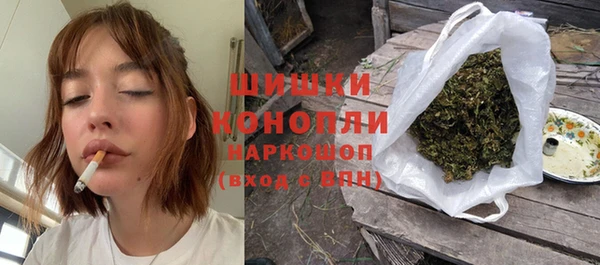 амф Козельск