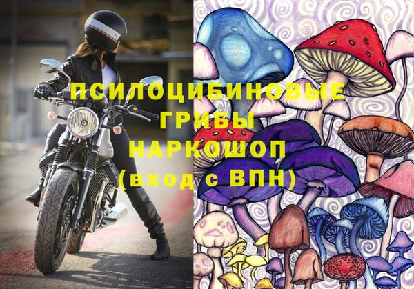 ешки Кодинск