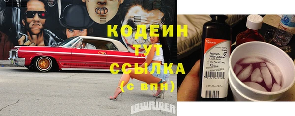 ешки Кодинск